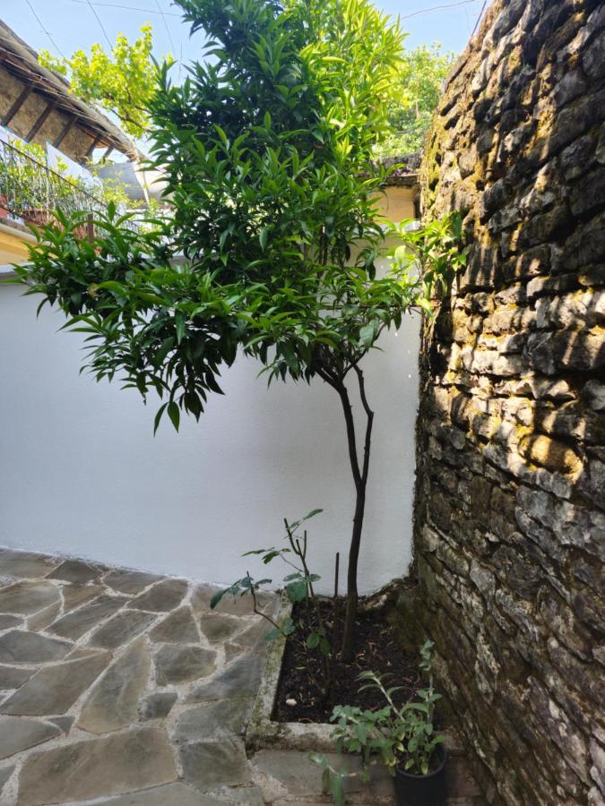 Traditional House Shapllo Gjirokastër 외부 사진